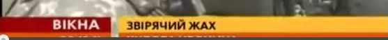 Американским солдатам разрешили зоофилию.