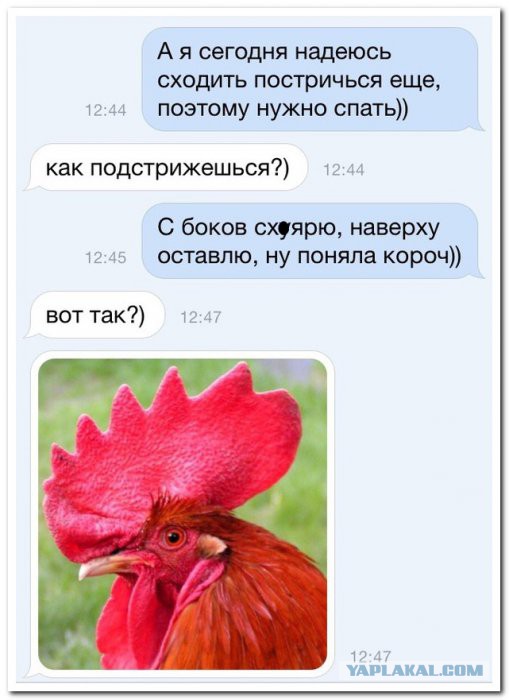 Традиционная пятничная подборка ВК и не только
