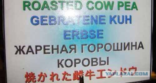 Подборка баянов.