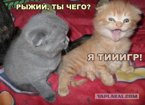 Подборка прикольных картинок