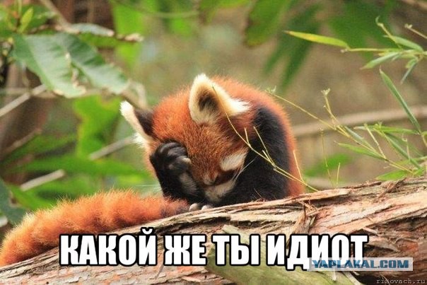 Саша-киллер. Самый страшный развод.