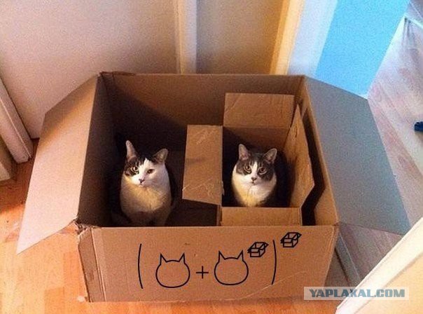 Веселые картинки