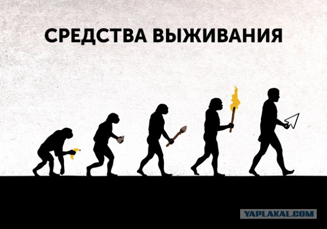 40 улыбательных картинок