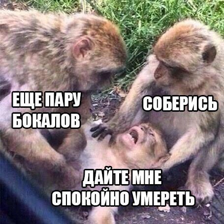 Картинки с надписями