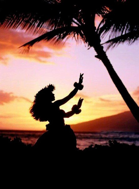 Интересные и веселые картинки