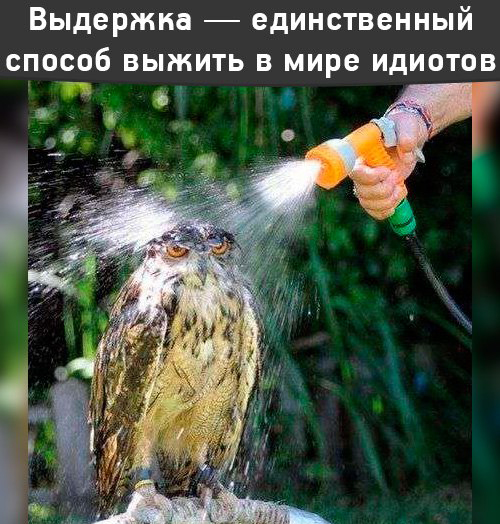 Подборка интересных и веселых картинок