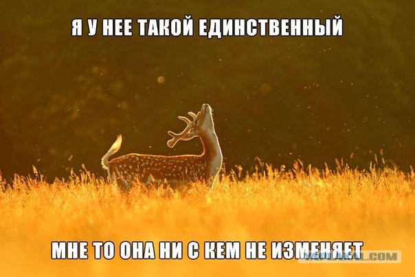 Про неверных баб