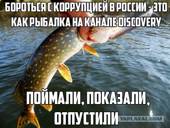 У экс-главы «Русгидро» во время обыска нашли отдельный особняк для хранения чемоданов Louis Vuitton и Chanel