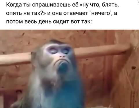 Смешные комментарии из социальных сетей 02.09.2016