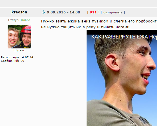 Как развернуть Ежа. Нереальный позитив от обаятельно фыркающего ёжика!