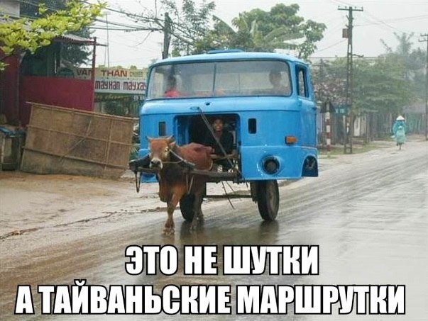 Порция картинок из сети