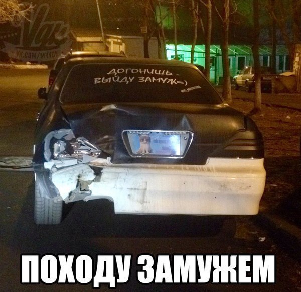 Порция картинок из сети
