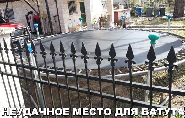 День открытых дверей в палате №6