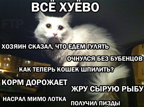 Обколются своей марихуаной