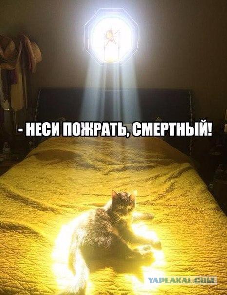 Подборка интересных и веселых картинок