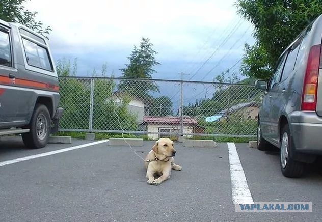 Весь двор в баночках. Такой вот он, богоизбранный народец.