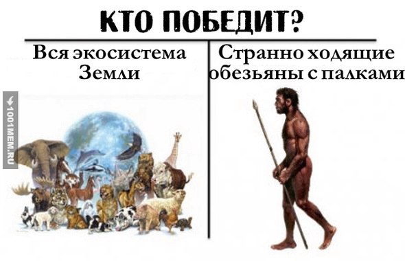 И еще немного картинок...