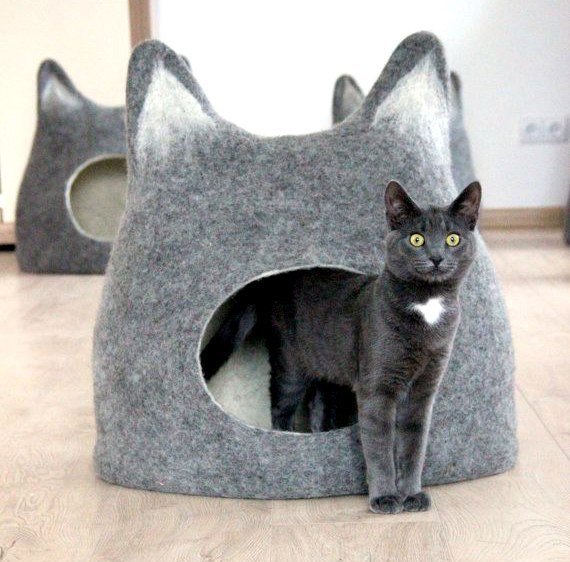 Коты и Кошки