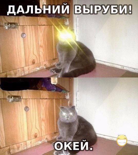 Картинки для поднятия настроения