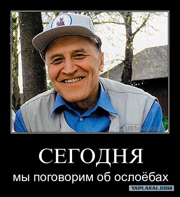 Это не оскорбляет веру в знания? В мэрии Москвы ответили на возможный перенос линеек из-за Курбан-байрама