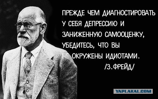 Картинки из этих ваших интернетов