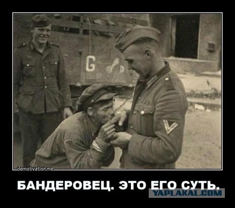 Шо Опять? Прямые трансляции майдана в Киеве