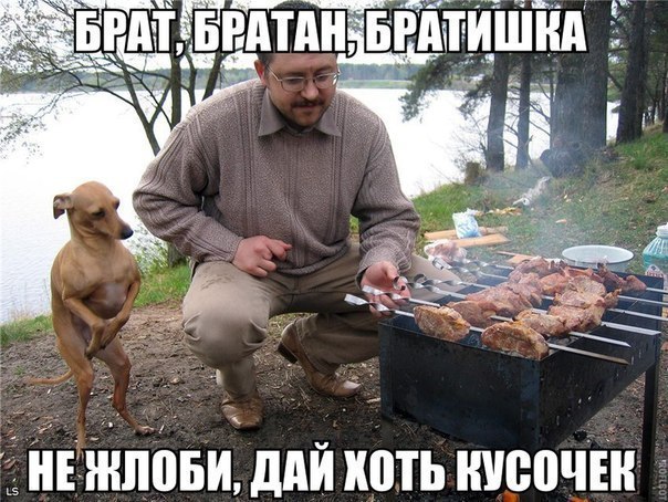 Тупик эволюции