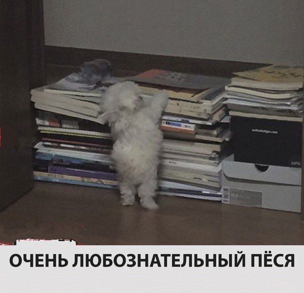 Подборка интересных и веселых картинок
