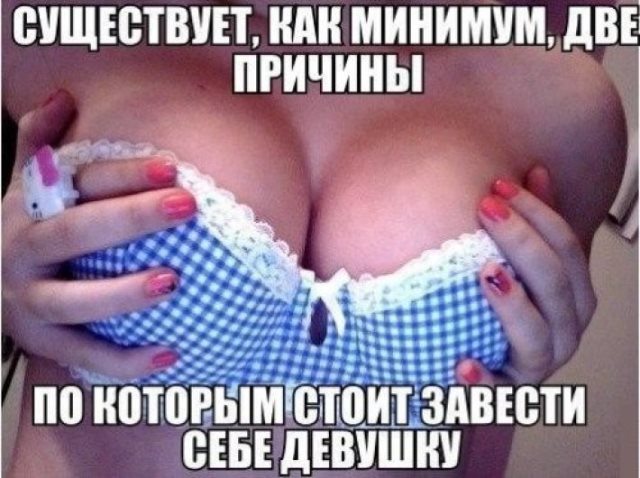 Фото, которые поднимают настроение