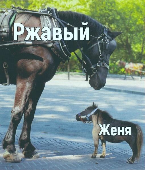 Картинок пост