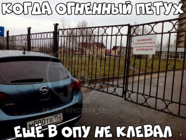 Прикольные картинки абавсём