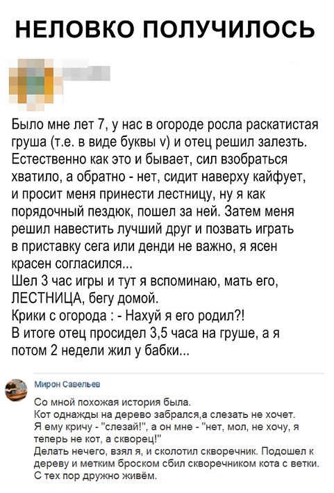 Прикольные комментарии и высказывания из Сети