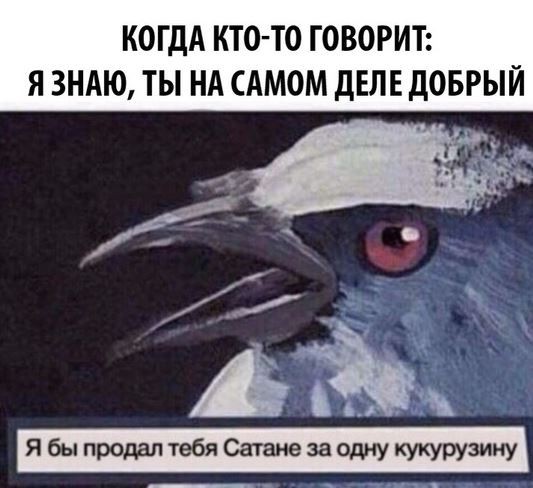 КартинкО на воскресенье
