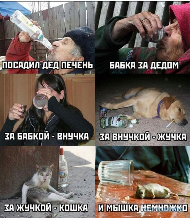 К чуваку пришло понимание