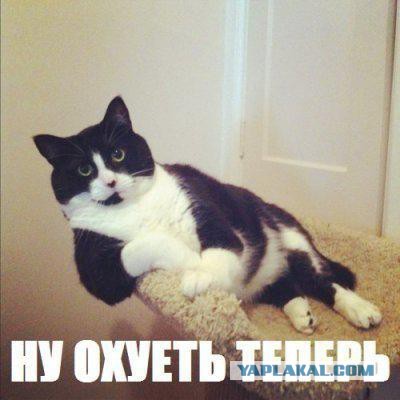 Можно ли бить женщин?