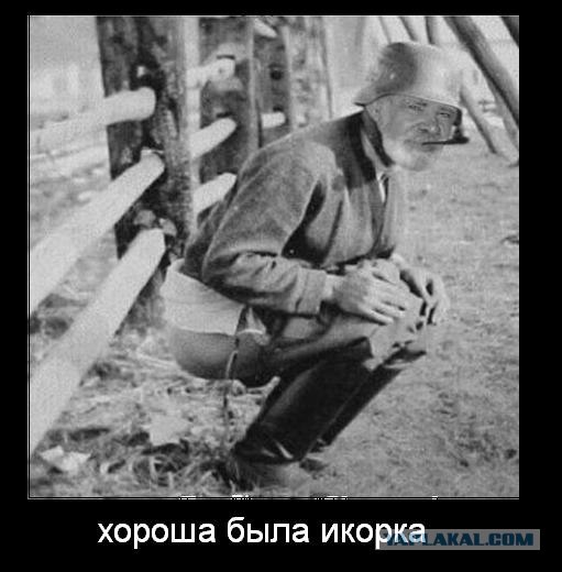 Конкурс на лучшую фотожабу против браконьеров.