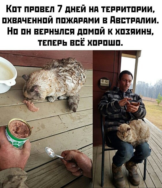 Пара-пара-пам! Фьють. Картинки с надписями