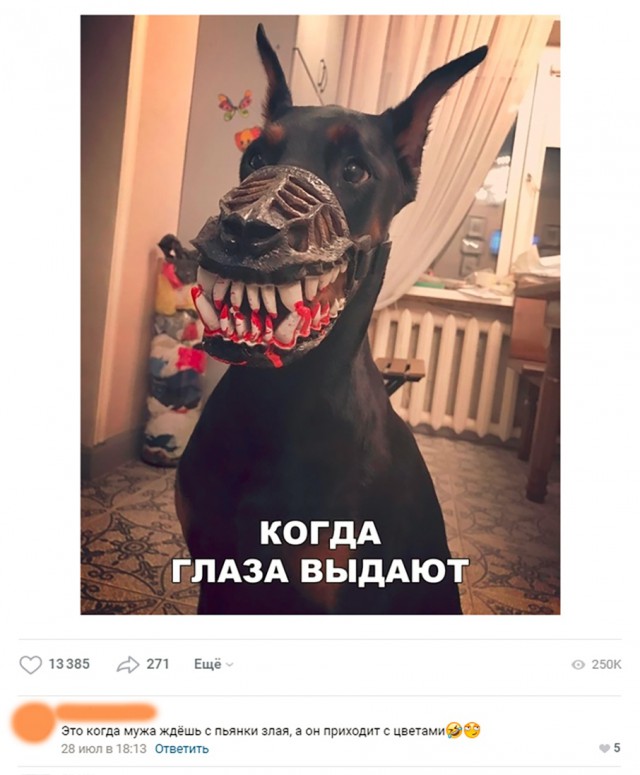 Субботний деградант 16.02.20