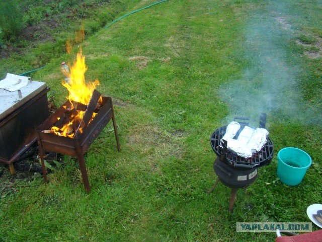 Вечер вторника - рыба и  мясо! (13 фото)