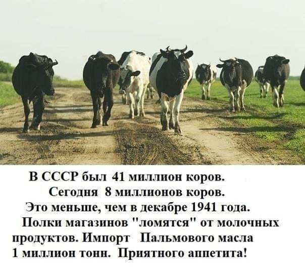 Умирают деревни молча...