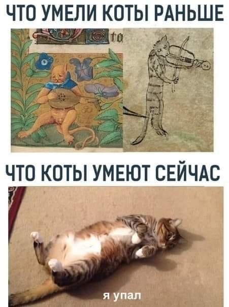 Бредзона 03.07.20