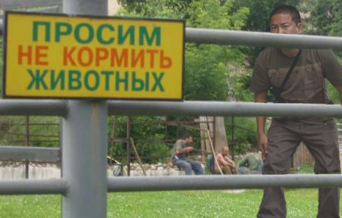 Битва фотожаберов (Команда №1)