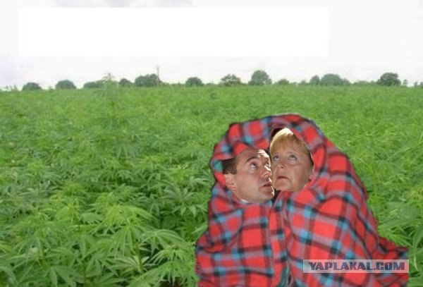 Ну что - по пивку?!