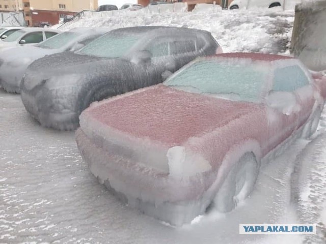 В Приморье ввели режим ЧС из-за непогоды