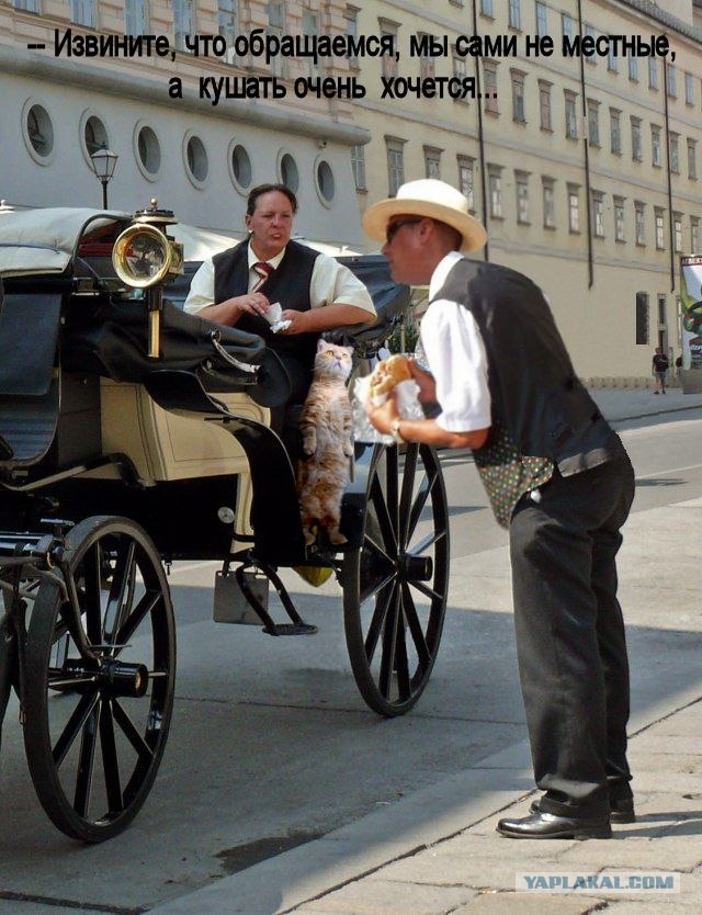 Фотожаба: бутерброд
