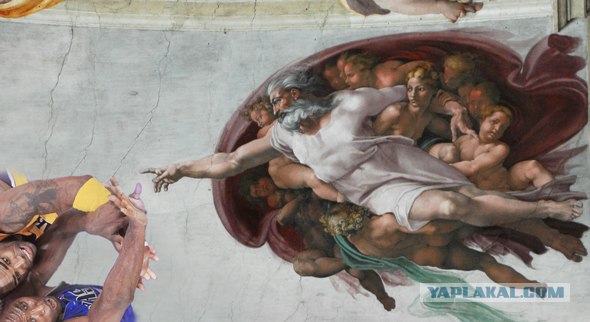 Ну очень жабельная фотография!