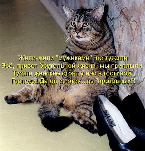 Бредзона 06.02.21