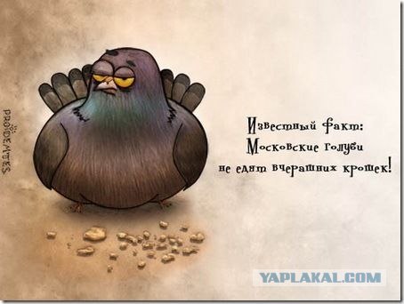 Московские воробьи