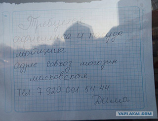 Абъяевленя и вивискы. Учителям русского языка лучше не смотреть