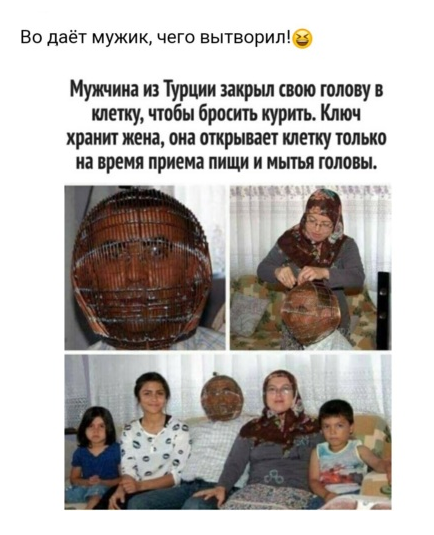 Забавные шутки, картинки и фразы из этих ваших интернетов